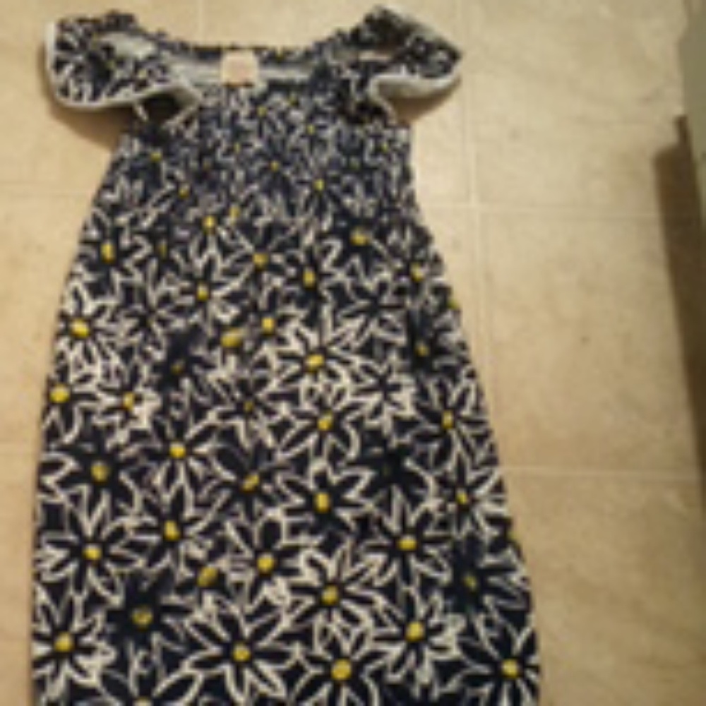 A a blue Daisy dress